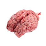 Beef Brain 1piece